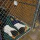 Two female detainees sleep in a holding cell.